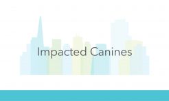 Impacted Canines exposed by Dr. J. Reed Rayher, DDS, MD